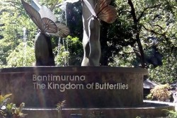 Melihat Kerajaan Kupu-kupu di Taman Nasional Bantimurung, Maros