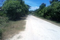 Pemprov NTB Siap Rapikan Jalan ke Pantai Pink Demi Wisatawan