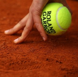 Zebra-Zebra di Prancis Terbuka