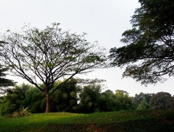 Serpong Punya Spot Foto Menarik yang Instagrammable