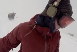 Asyik Nyanyi Rihanna, Turis Ini Tak Sadar Dikejar Beruang