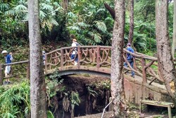 Kisah Jembatan Sangkuriang di Kawah Domas, Bandung