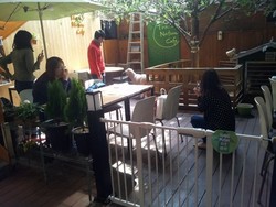 Mbeeek! Ada Kafe Domba di Korea