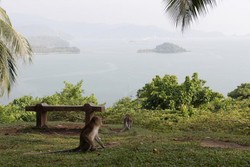 Gunuang Padang & Makam Siti Nurbaya