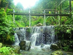 Sensasi Bercengkrama dengan Alam di Herman Lantang Camp, Bogor