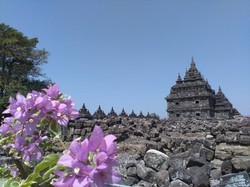 Candi Plaosan, Si Cantik yang Jarang Dilirik