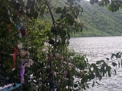 Kisah Pohon Keramat di Tepi Danau Satonda, Sumbawa