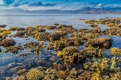 Ironi Dibalik Cantiknya Pantai di Bima, Sumbawa