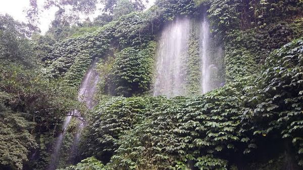 Menyibak Indahnya Air Terjun Benang Kelambu di Lombok Menyibak Indahnya Air Terjun Benang Kelambu di Lombok