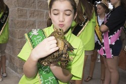 Yang Unik di Amerika, Festival Katak!