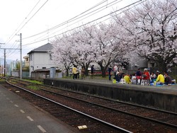 Di Kyoto, Stasiun kereta Pun Asyik Buat Piknik!