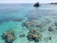 Foto-foto Beningnya Derawan