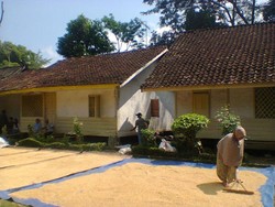 Seperti Ini Uniknya Kampung Pulo di Garut