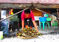 Oleh-oleh Lezat dari Serang: Otak-otak Ibu Entin