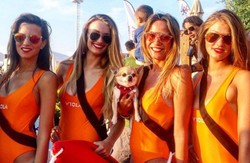 Anjing Ini Mungkin Traveling Lebih Sering Dibanding Kamu