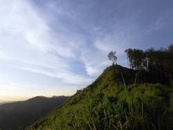 Sudah Tahu? Pemalang Punya Desa Wisata yang Asyik Dikunjungi Akhir Pekan