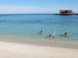 Kapan Waktu Terbaik Liburan ke Derawan?