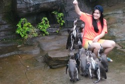 Berfoto Bareng Penguin di Taman Safari Prigen, Aih Lucunya!