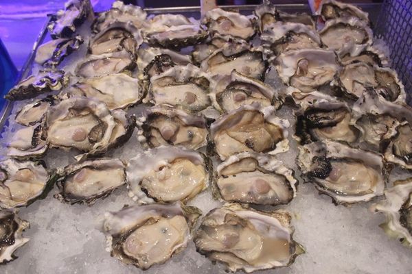 ​Yuk, Berpesta ​Seafood ​Segar Tiap Kamis ​di SATOO​!​