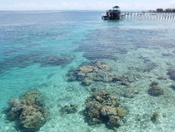 Sudut-sudut Cantik Pulau Derawan