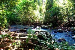 Leuweung Sancang, Satu Lagi yang Eksotik di Garut