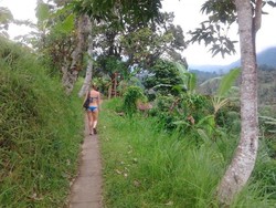 Berbikini di Tengah Sawah