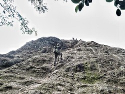 Gunung Munara di Bogor yang Indah Nan Menantang