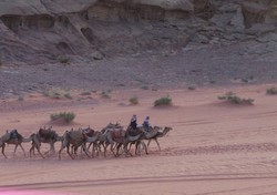 Bertemu Suku Badui Asli di Yordania