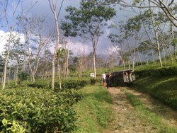 Begini Serunya Offroad di Bogor