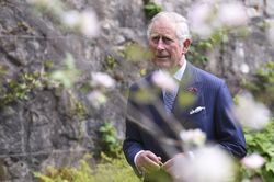 Heboh Warga Inggris Soal Isu Pangeran Charles Gay