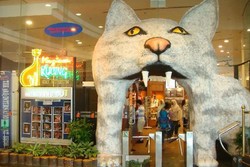 Gemas! Ada Museum Kucing di Malaysia