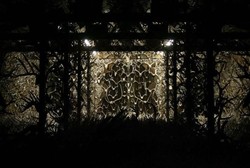 Rumah di Inggris yang Dipenuhi 15.000 Tanduk