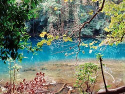 Kisah Belut Apu, Nenek Moyang Orang Sumba di Danau Laputi