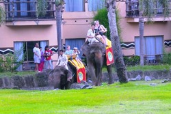 Ketika Bule Asyik Naik Gajah Keliling Bali Safari