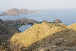 Terpesona Padang Rumput di Gili Lawa Darat, Flores