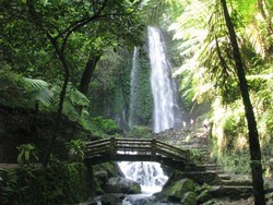 Terpesona Air Terjun Jumog di Kaki Gunung Lawu