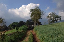 Surga Tersembunyi Dibalik Macetnya Puncak