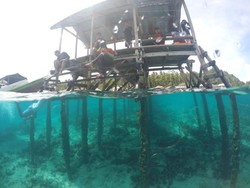 Singgah Sejenak ke Pulau Cempedak di Sultra