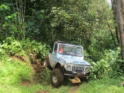 Menantang Adrenalin di Perkebunan Teh Kulon Progo