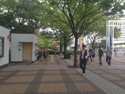 Jalan-jalan Sore Osaka di Jepang, Santai!