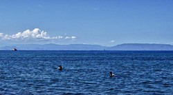 Selat Alas yang Indah Nian