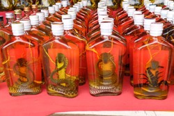 Minuman Vitalitas Pria di Laos: Whiskey Ular & Kalajengking