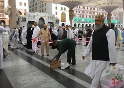 Kotoran Burung Jatuh di Masjid Nabawi & Inilah yang Terjadi
