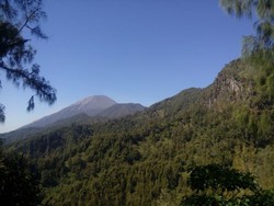 Perjalanan Mendaki Puncak Mahameru