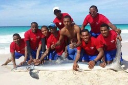 Parah! Hiu Diseret Turis Buat Foto & Akhirnya Mati