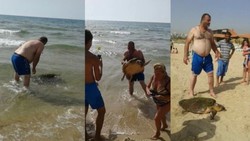 Demi Selfie, Penyu Disiksa Turis di Pantai Lebanon