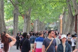 Duh, 38 Turis China Ditelantarkan Pemandu Wisata di Thailand