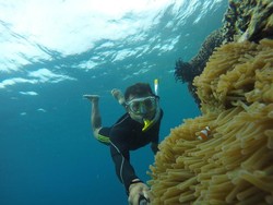 Lebaran di Kendari, Sekalian Snorkeling di Pulau Hari