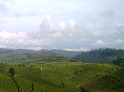 3 Destinasi Asyik untuk Ide Libur Lebaran di Brebes