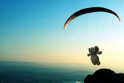 Cerita Boneka Gajah yang Diphotoshop Keliling Dunia